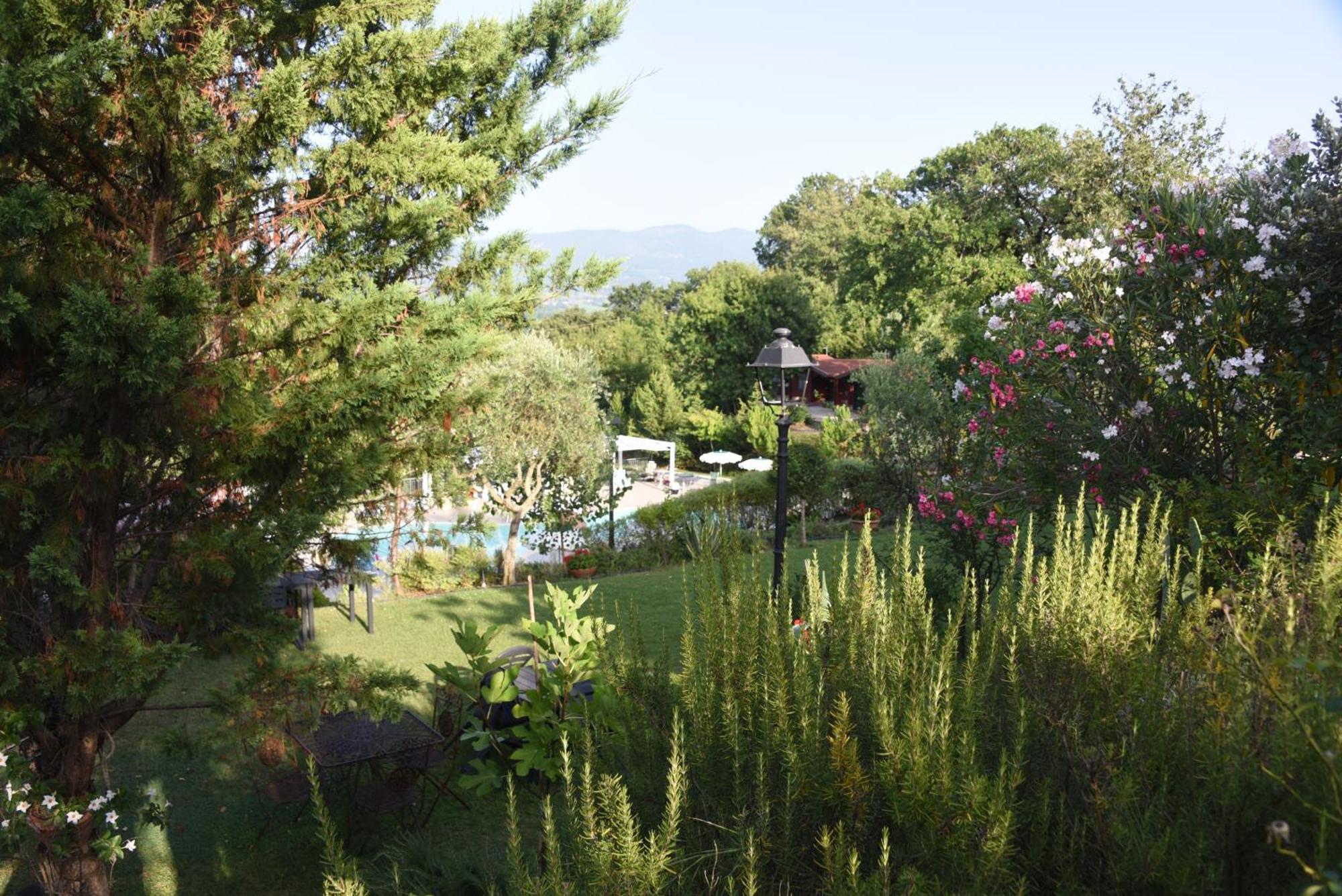 Bosco D'Olmi Country House Sant'Andrea del Garigliano Luaran gambar