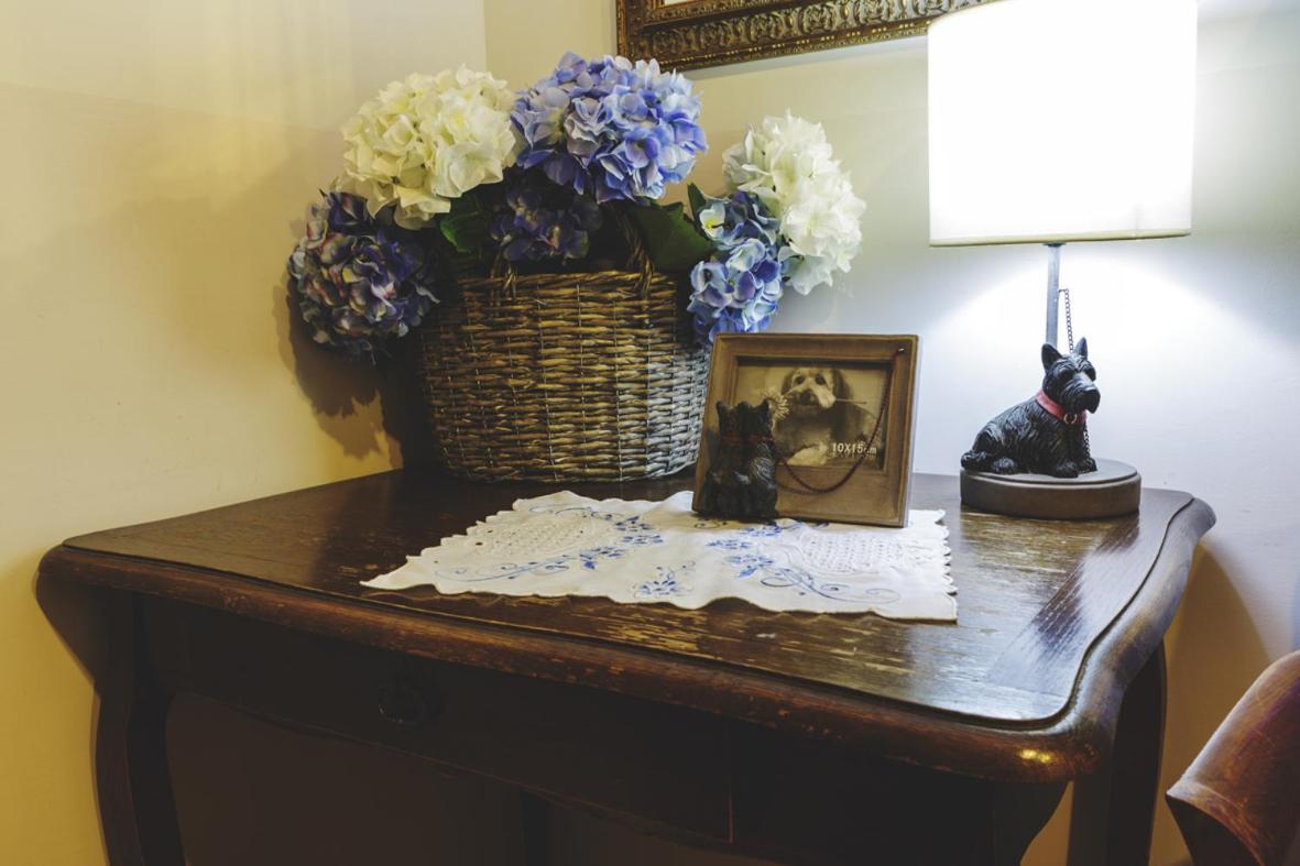 Bosco D'Olmi Country House Sant'Andrea del Garigliano Luaran gambar